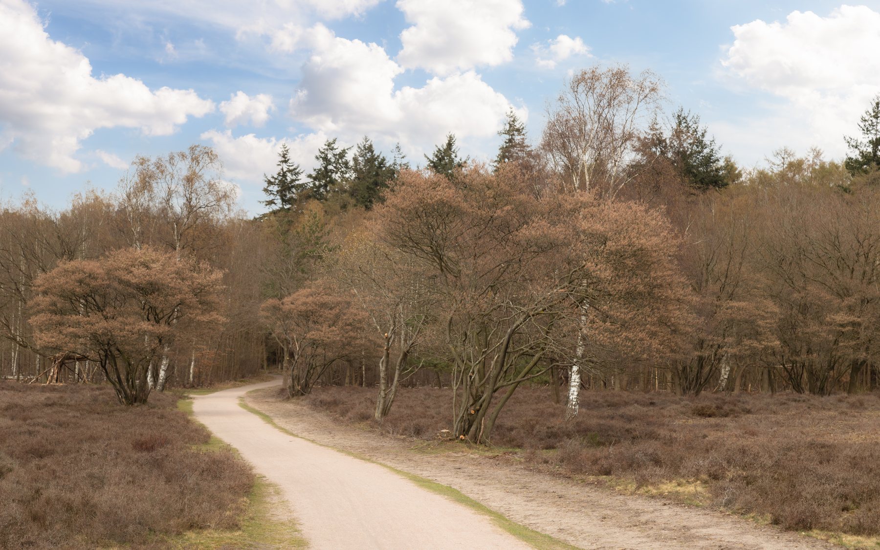 Zandpad over de heide bij Blaricum